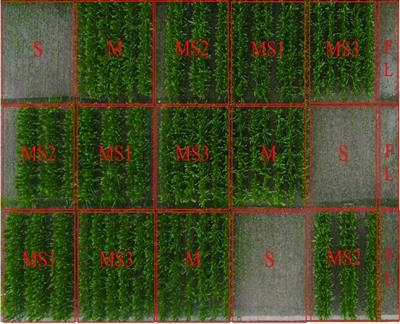 Effect of different planting pattern arrangements on soil organic matter and soil nitrogen content under a maize/soybean strip relay intercropping system